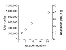 cumulative effects